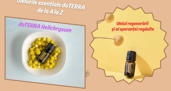 doTERRA Helichrysum - Uleiul regenerarii si al sperantei regasite