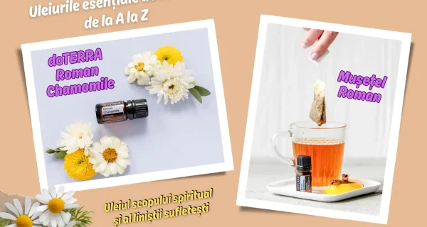 doTERRA Roman Chamomile (Musetel Roman) – Uleiul scopului spiritual si al linistii sufletesti