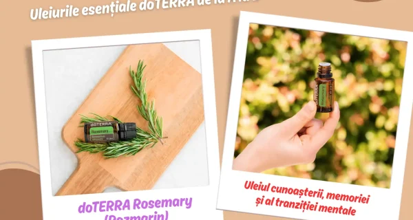 doTERRA Rosemary (Rozmarin) – Uleiul cunoasterii, memoriei si al tranzitiei mentale