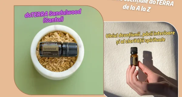 doTERRA Sandalwood (Santal) – Uleiul devotiunii, al pacii interioare si al claritatii spirituale
