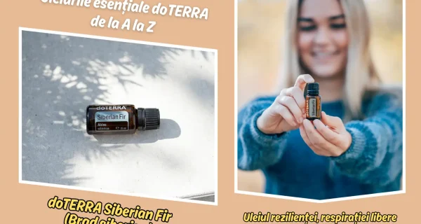 doTERRA Siberian (Brad Siberian) – Uleiul rezilientei, respiratiei libere si al alinarii profunde