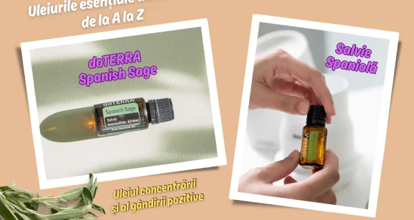 doTERRA Spanish Sage (Salvie Spaniola) – Uleiul concentrarii si al gandirii pozitive