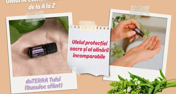 doTERRA Tulsi (Busuioc sfant) – Uleiul protectiei sacre si al alinarii incomparabile