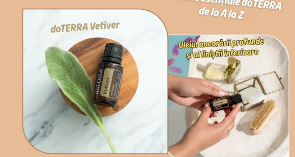 doTERRA Vetiver – Uleiul ancorarii profunde si al linistii interioare