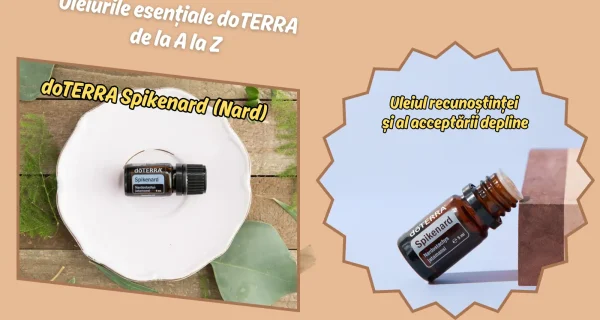 doTERRA Spikenard (Nard) – Uleiul recunostintei si al acceptarii depline